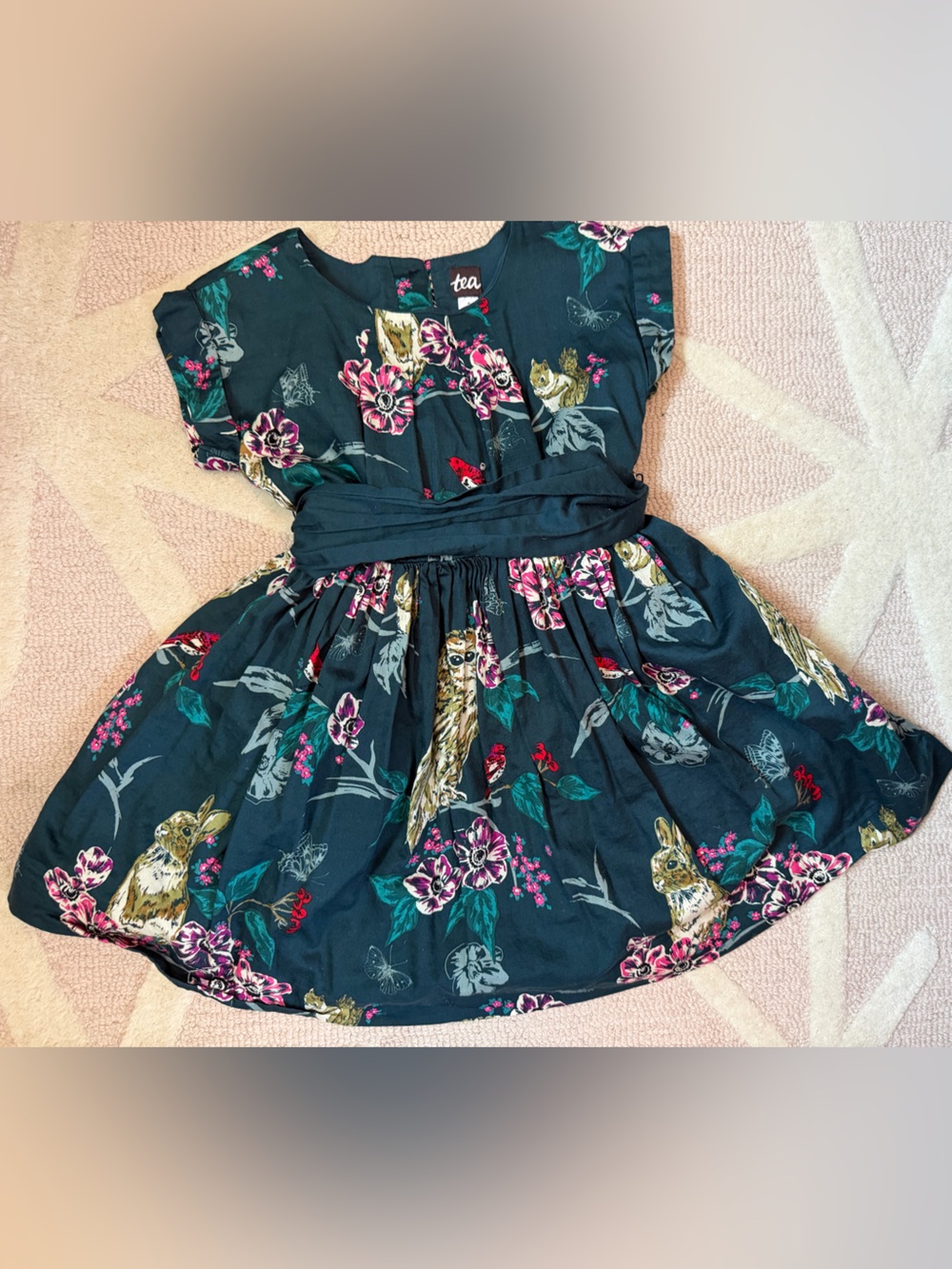 Tea Collection size 5 Holiday dress